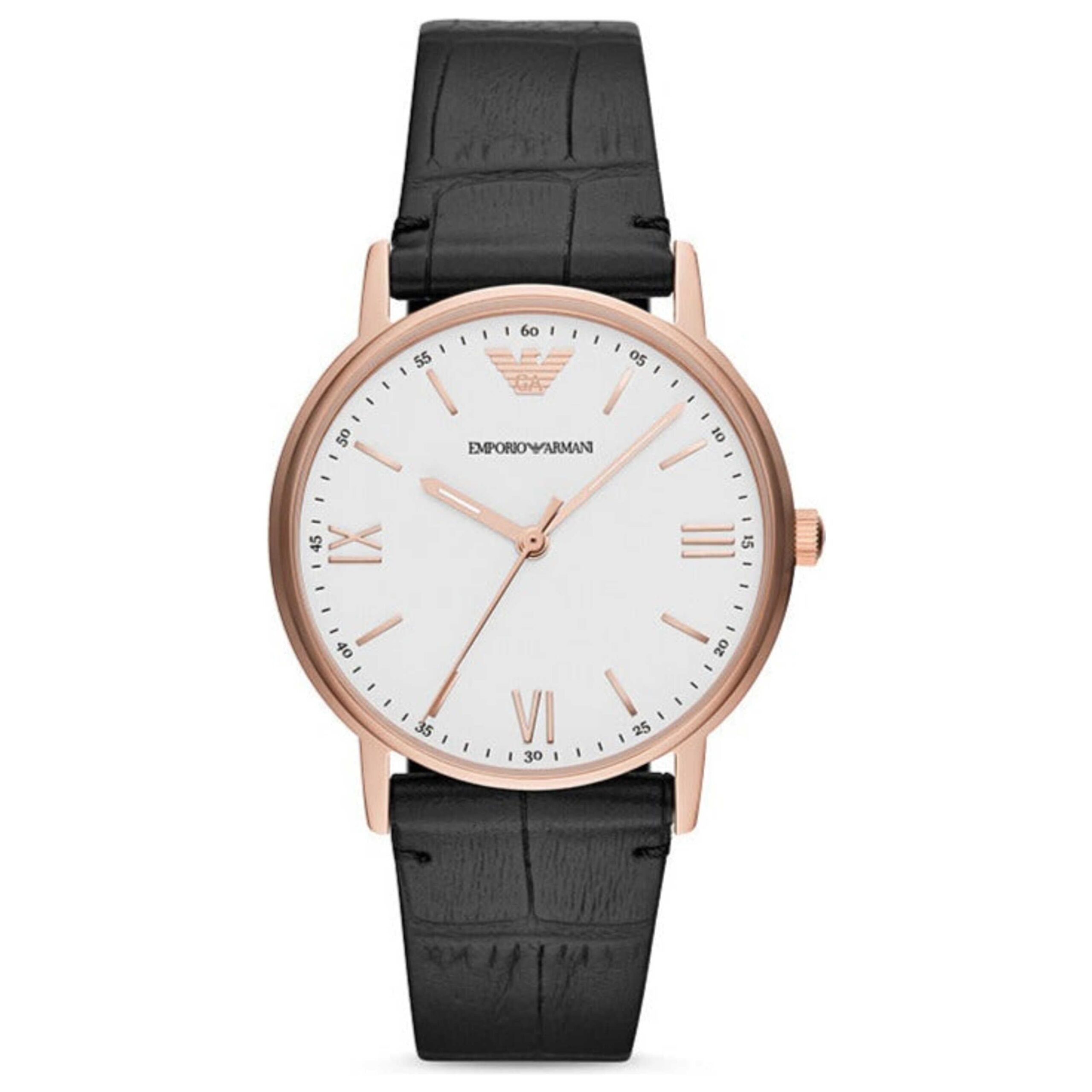 Emporio Armani Watch AR80015
